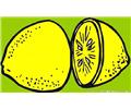 Lemon 31