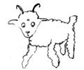 Little Prince Draws A Sheep