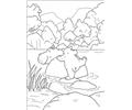 Polar Bear Want To Sit On Hippo