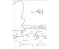 The Walrus Are Swimming