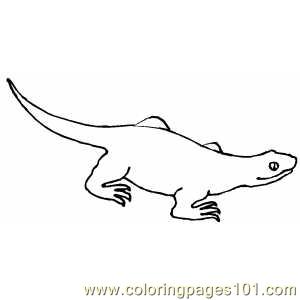 free printable coloring image  Walking Lizard