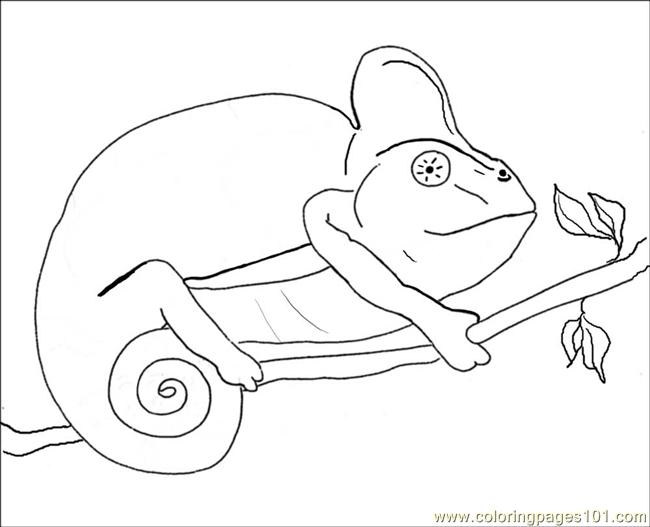 free printable coloring image Chameleondrawing