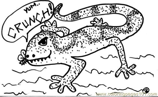 free printable coloring image Lizard7