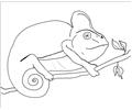 Chameleondrawing
