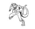 Lizard11
