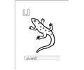Lizard12
