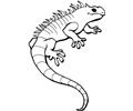Lizard1