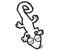 Lizard2
