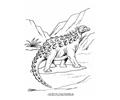 Lizard6