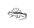 Lizard