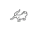 Lizard