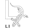L Lizard