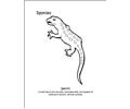 Reptilecolor10