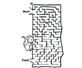 Maze 51