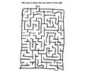 Maze 55