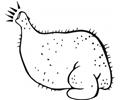 Ready Chicken