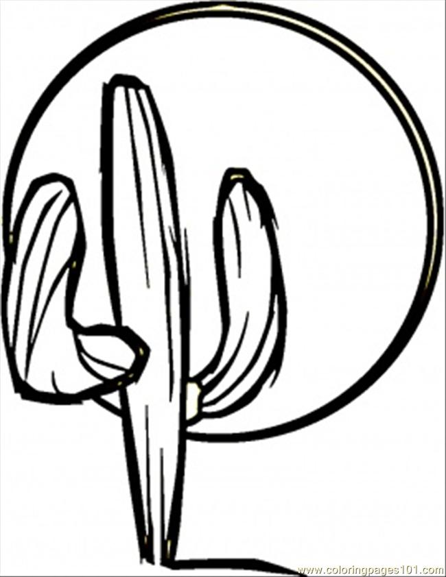 cactus and sombrero coloring pages - photo #22