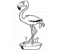 Mexican Coloring  Flamingo