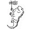 Mexican Coloring  Iguana2