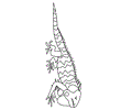 Mexican Coloring  Iguana3