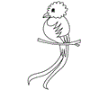 Mexican Coloring  Quetzal
