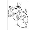 Zhu Zhu Pets 49