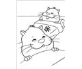 Zhu Zhu Pets 63