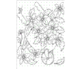 Miss Spider 003