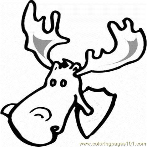 Coloring Pages Moose face (Animals > Moose) - free printable coloring ...