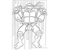 Turtles Coloring Pageslrg