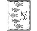 Num5