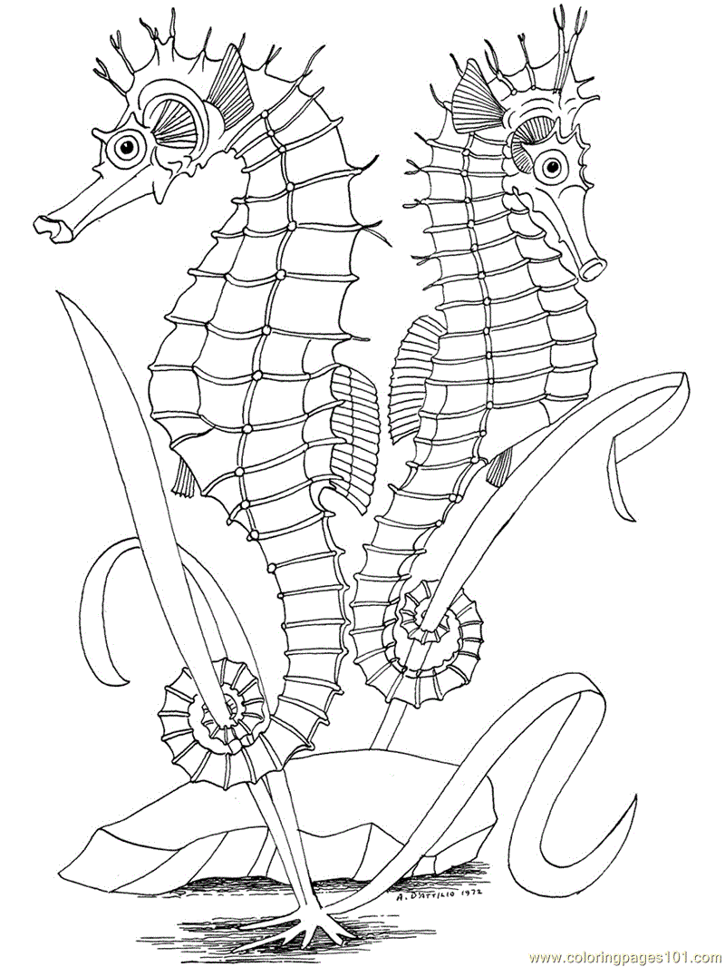 oceans of the world coloring pages - photo #21