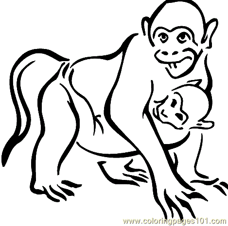 Printable Coloring Pages Monkeys. Monkey Coloring Page 001