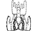 Moose03
