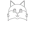 Bpaperfox2