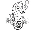 Ocean Animal Coloring Page 001 (13)
