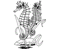 Ocean Animal Coloring Page 001 (14)