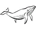 Ocean Animal Coloring Page 001 (2)