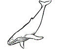 Ocean Animal Coloring Page 001 (4)