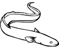 Ocean Animal Coloring Page 001 (6)