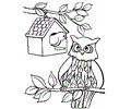 Owl Coloring Page 001 (3)