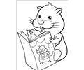 Zhu Zhu Pets 001 (17)