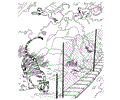 Zoo Animal Coloring Page 001 (10)