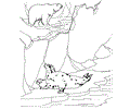 Zoo Animal Coloring Page 001 (11)