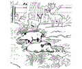 Zoo Animal Coloring Page 001 (13)