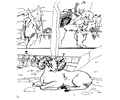 Zoo Animal Coloring Page 001 (14)