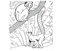 Zoo Animal Coloring Page 001 (17)