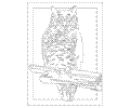 Owl Coloring Page 11