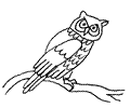 Owl Coloring Page 15