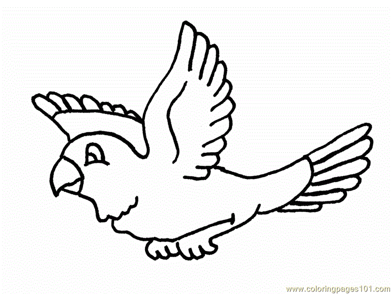 Coloring Pages Parrots are flying (Birds > Parrots) - free printable ...